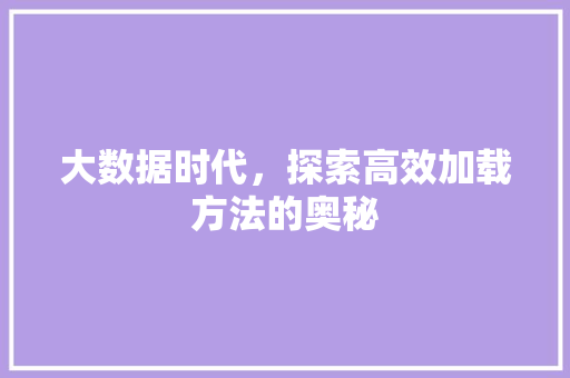大数据时代，探索高效加载方法的奥秘