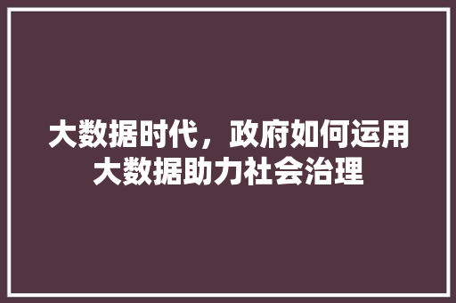 大数据时代，政府如何运用大数据助力社会治理  第1张