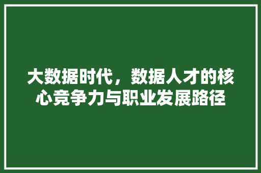 大数据时代，数据人才的核心竞争力与职业发展路径