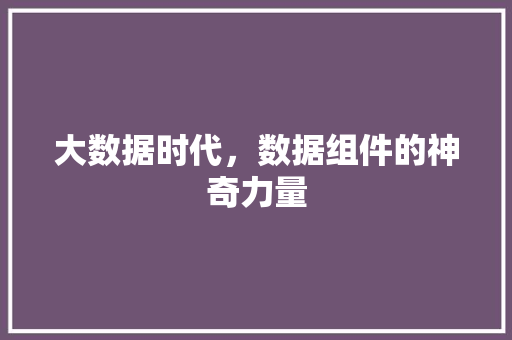 大数据时代，数据组件的神奇力量  第1张