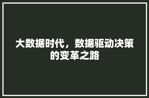 大数据时代，数据驱动决策的变革之路  第1张
