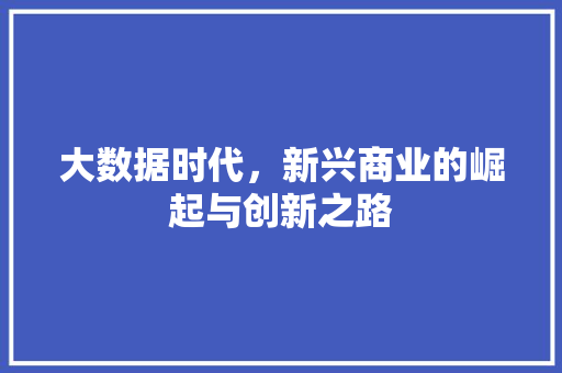 大数据时代，新兴商业的崛起与创新之路