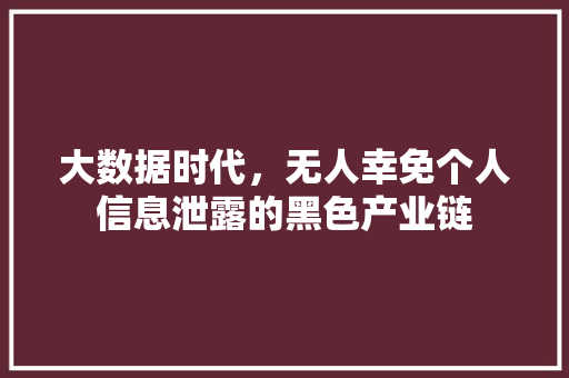 大数据时代，无人幸免个人信息泄露的黑色产业链  第1张