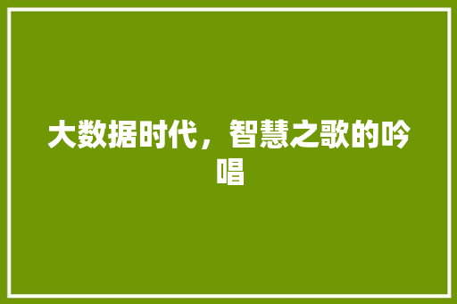 大数据时代，智慧之歌的吟唱