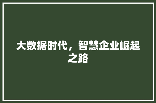 大数据时代，智慧企业崛起之路