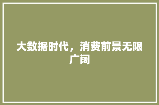 大数据时代，消费前景无限广阔  第1张