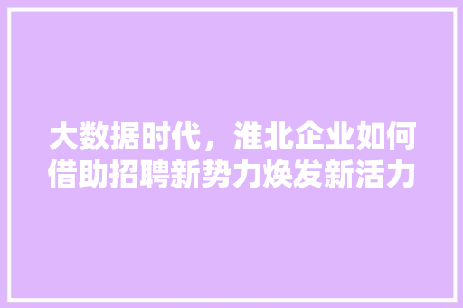 大数据时代，淮北企业如何借助招聘新势力焕发新活力