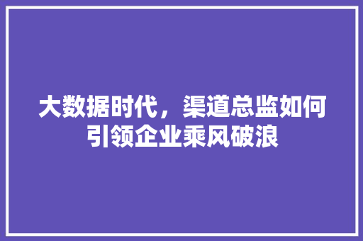 大数据时代，渠道总监如何引领企业乘风破浪  第1张