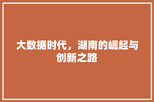 大数据时代，湖南的崛起与创新之路  第1张
