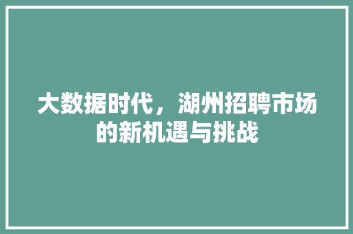 大数据时代，湖州招聘市场的新机遇与挑战  第1张