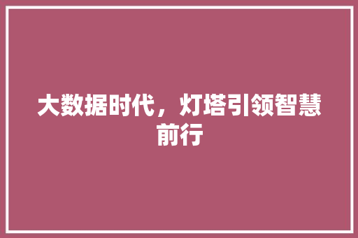 大数据时代，灯塔引领智慧前行  第1张