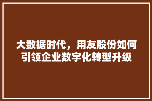 大数据时代，用友股份如何引领企业数字化转型升级