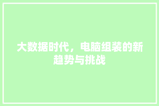 大数据时代，电脑组装的新趋势与挑战  第1张