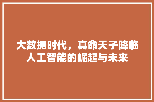 大数据时代，真命天子降临人工智能的崛起与未来  第1张