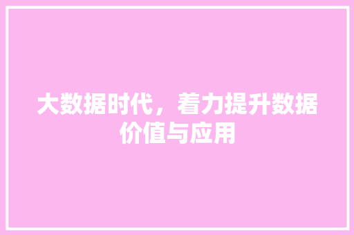 大数据时代，着力提升数据价值与应用  第1张