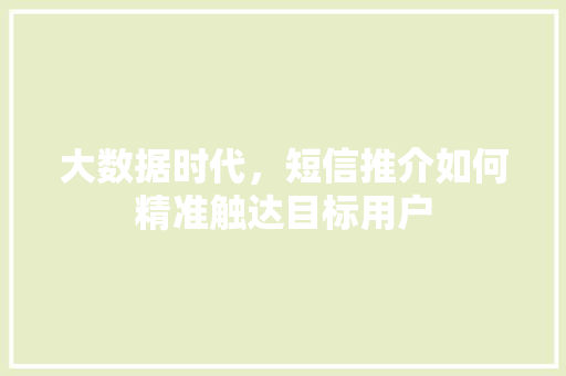 大数据时代，短信推介如何精准触达目标用户  第1张