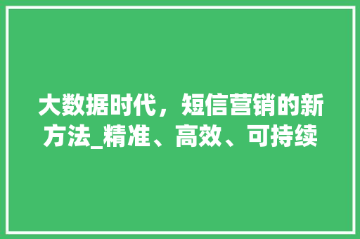 大数据时代，短信营销的新方法_精准、高效、可持续  第1张