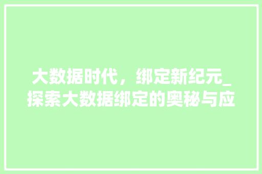 大数据时代，绑定新纪元_探索大数据绑定的奥秘与应用