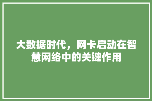 大数据时代，网卡启动在智慧网络中的关键作用