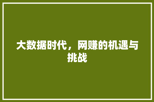 大数据时代，网赚的机遇与挑战  第1张