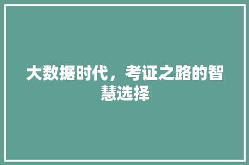 大数据时代，考证之路的智慧选择
