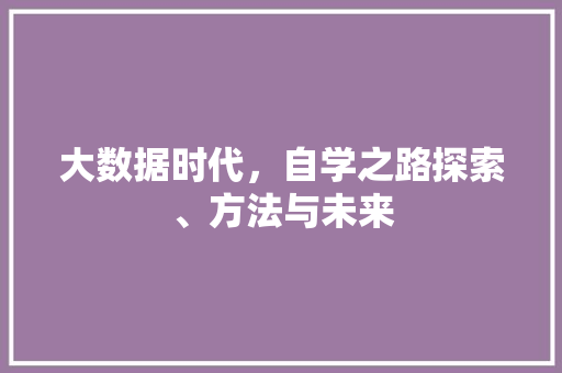 大数据时代，自学之路探索、方法与未来  第1张