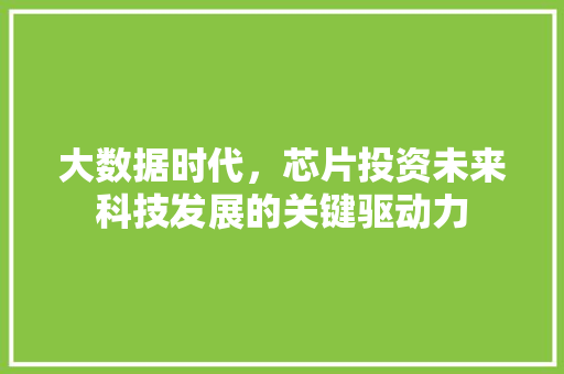 大数据时代，芯片投资未来科技发展的关键驱动力  第1张