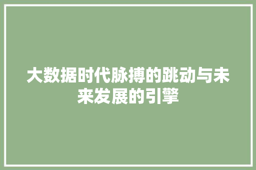 大数据时代脉搏的跳动与未来发展的引擎  第1张