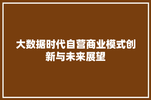 大数据时代自营商业模式创新与未来展望  第1张