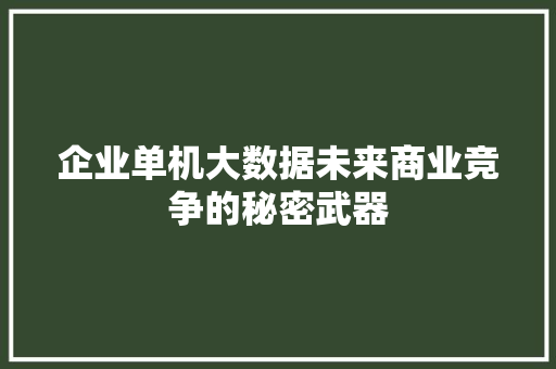 企业单机大数据未来商业竞争的秘密武器  第1张