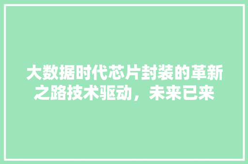 大数据时代芯片封装的革新之路技术驱动，未来已来