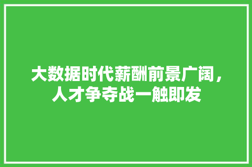 大数据时代薪酬前景广阔，人才争夺战一触即发  第1张