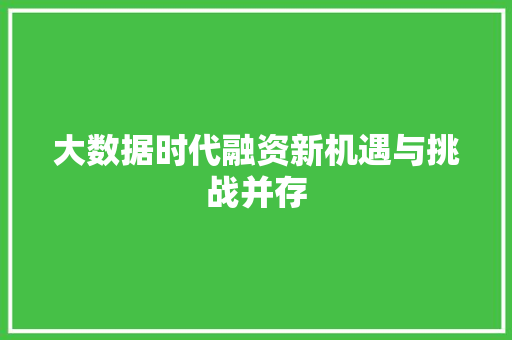 大数据时代融资新机遇与挑战并存  第1张