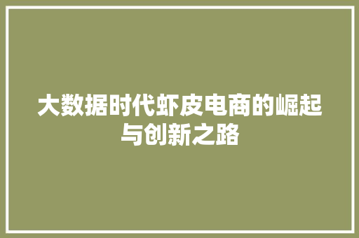 大数据时代虾皮电商的崛起与创新之路  第1张