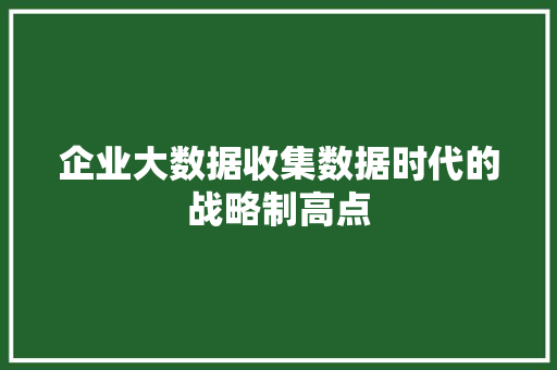 企业大数据收集数据时代的战略制高点  第1张