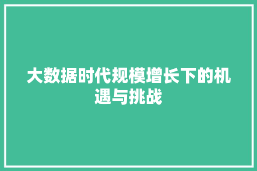 大数据时代规模增长下的机遇与挑战