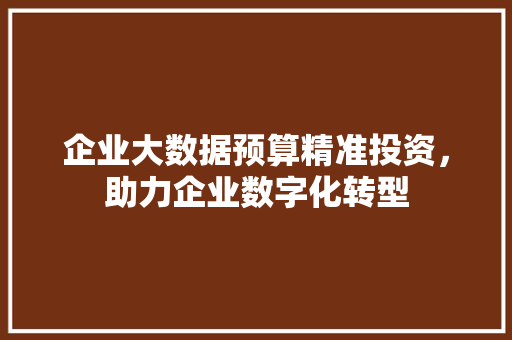 企业大数据预算精准投资，助力企业数字化转型  第1张