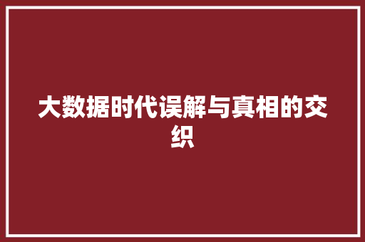 大数据时代误解与真相的交织  第1张