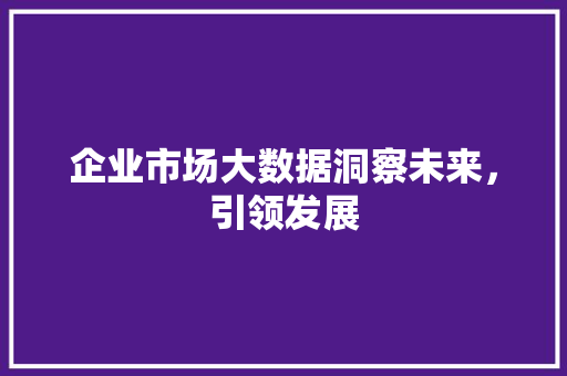 企业市场大数据洞察未来，引领发展