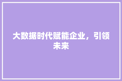 大数据时代赋能企业，引领未来  第1张