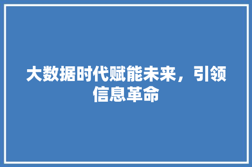 大数据时代赋能未来，引领信息革命  第1张
