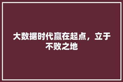大数据时代赢在起点，立于不败之地  第1张