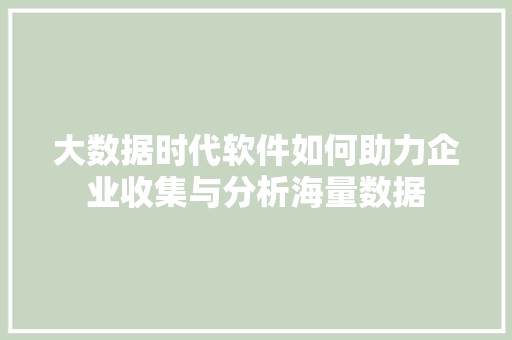 大数据时代软件如何助力企业收集与分析海量数据  第1张