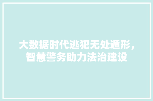 大数据时代逃犯无处遁形，智慧警务助力法治建设