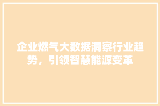 企业燃气大数据洞察行业趋势，引领智慧能源变革  第1张