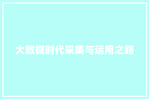 大数据时代采集与运用之路  第1张