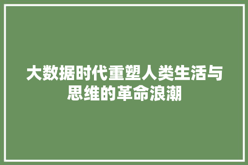 大数据时代重塑人类生活与思维的革命浪潮  第1张