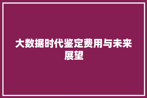 大数据时代鉴定费用与未来展望