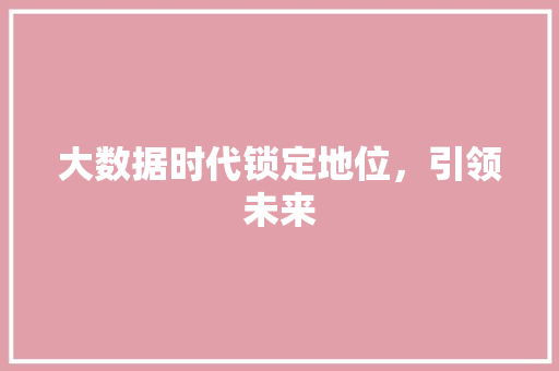 大数据时代锁定地位，引领未来  第1张