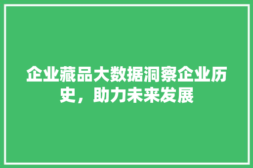 企业藏品大数据洞察企业历史，助力未来发展  第1张